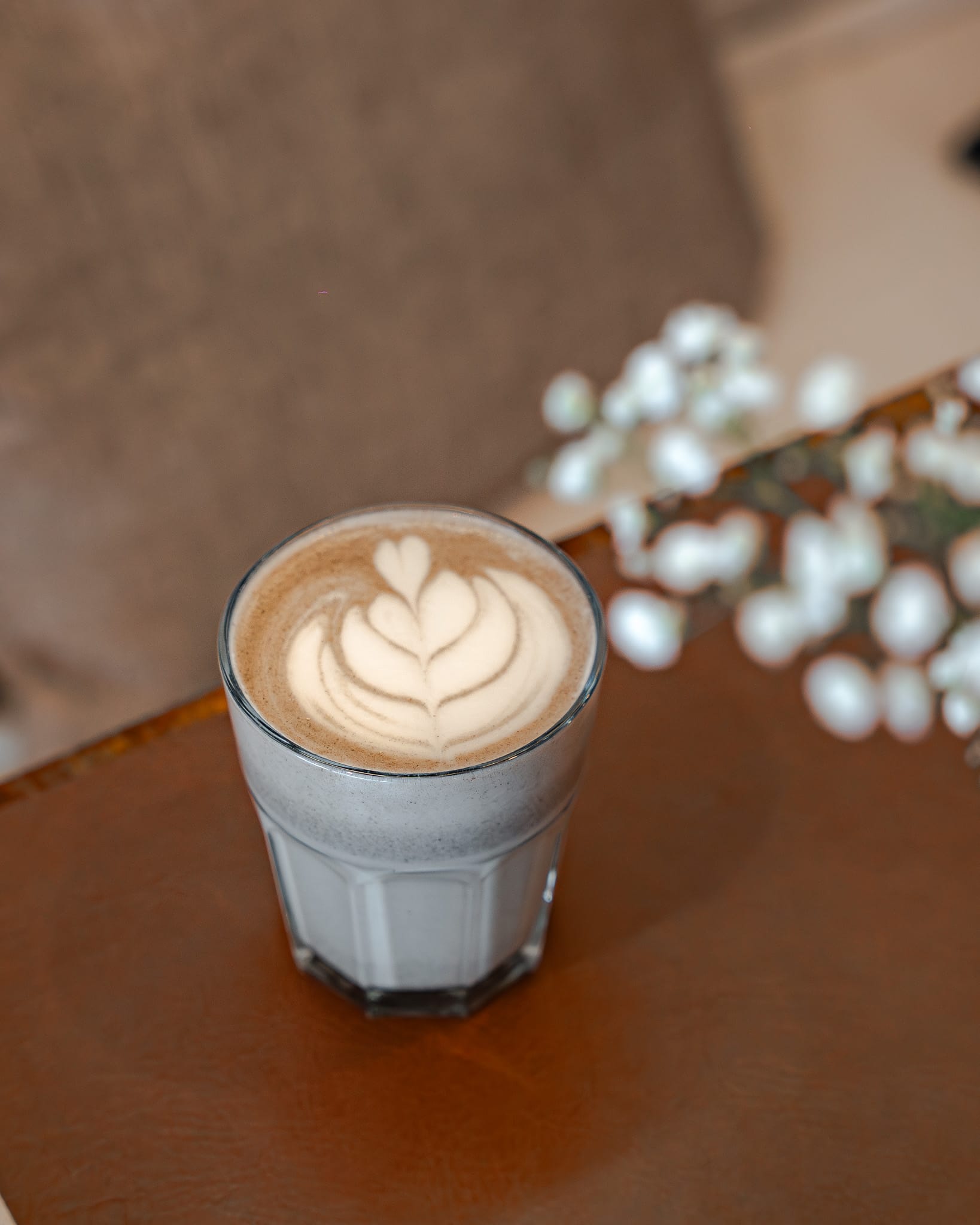 organic-jungle-las-palmas-navidad